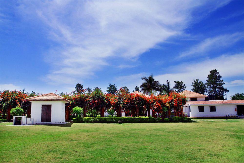 Naturoville Ayurvedic And Yoga Retreat Hotel Rishīkesh Buitenkant foto