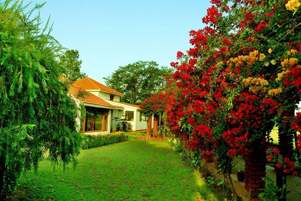 Naturoville Ayurvedic And Yoga Retreat Hotel Rishīkesh Buitenkant foto