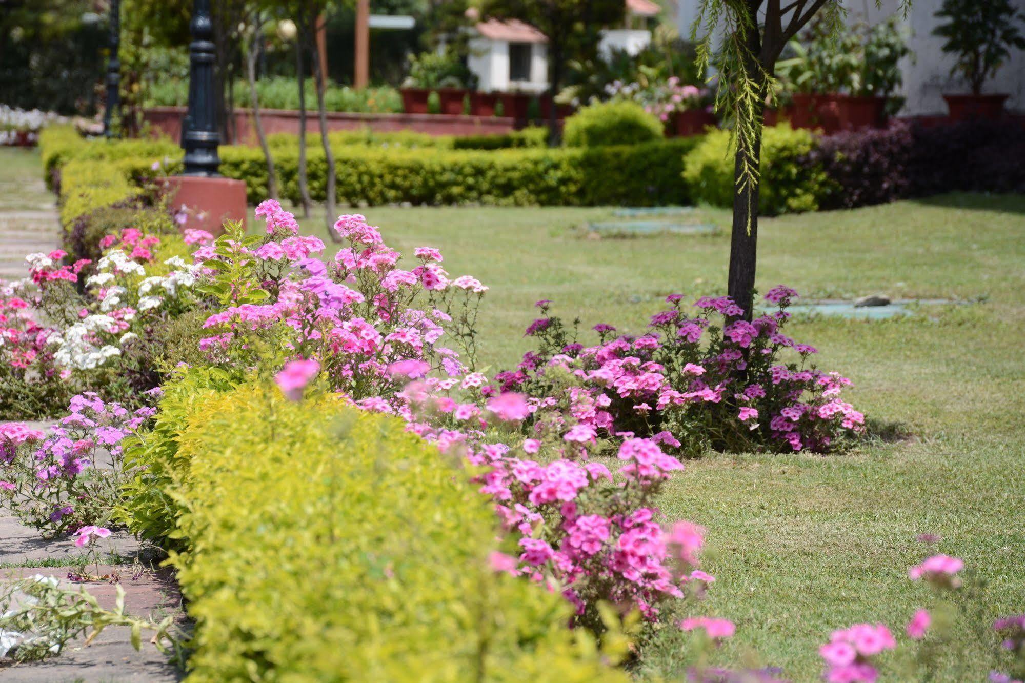 Naturoville Ayurvedic And Yoga Retreat Hotel Rishīkesh Buitenkant foto