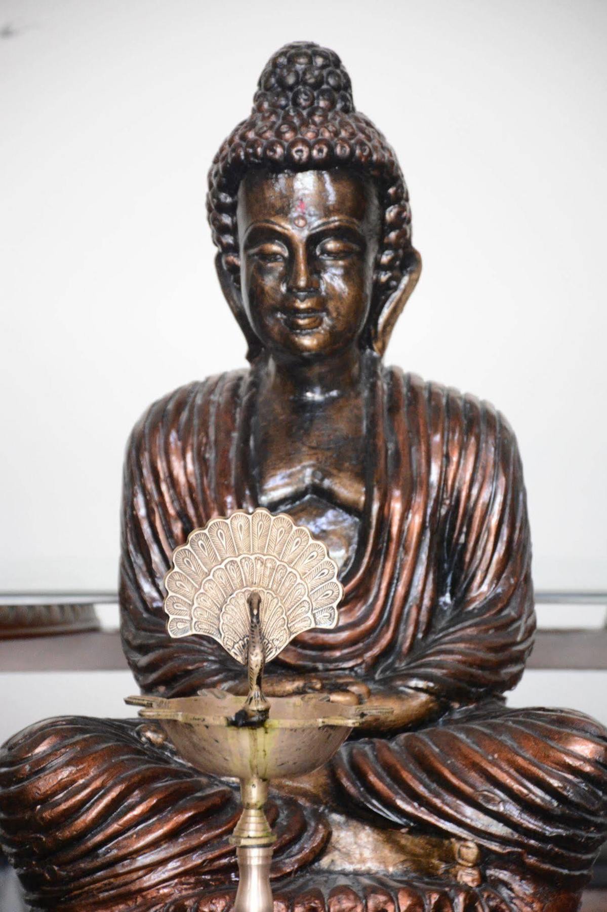 Naturoville Ayurvedic And Yoga Retreat Hotel Rishīkesh Buitenkant foto