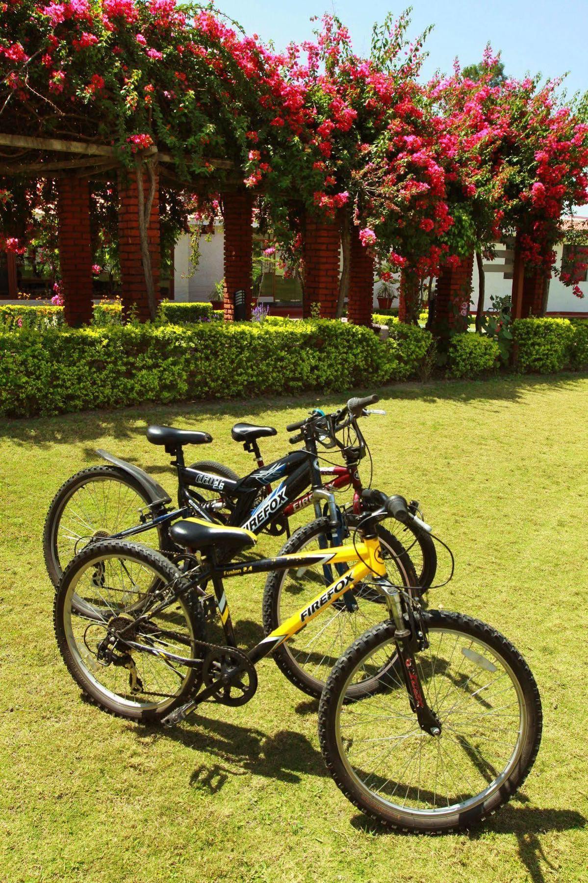 Naturoville Ayurvedic And Yoga Retreat Hotel Rishīkesh Buitenkant foto
