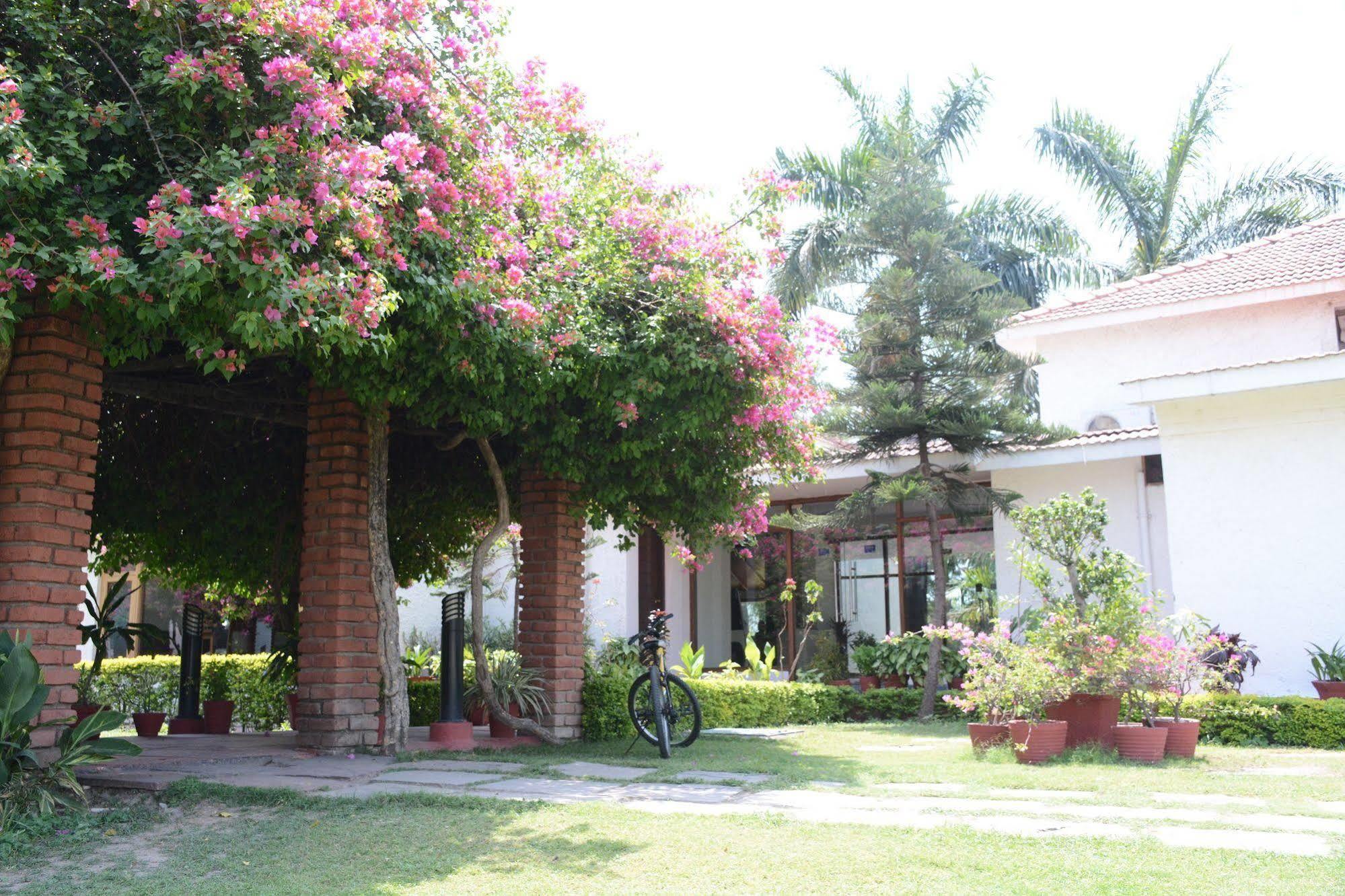 Naturoville Ayurvedic And Yoga Retreat Hotel Rishīkesh Buitenkant foto